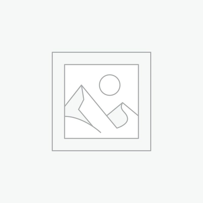 Bracelet Améthyste 10mm