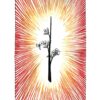 Tarot des Mondes Sauvages et Inconnus, Kim Krans – Image 2