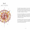 Oracle des Nombres, Maud Albertini & Wild Amanda – Image 2
