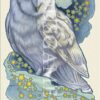 Visions Oniriques, Matt Hughes – Image 3