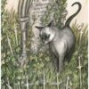 Le Tarot spirituel des chats, Leeza Robertson & Adam Oehlers – Image 4