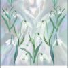 L'Oracle alchimique de la Terre, Katie-Jane Wright & Nikki Strange – Image 2
