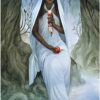 Le Tarot du Jardin de la Sorcière, Sasha Graham & Natasa Ilincic – Image 2