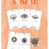 L'Oracle de la Communication Animale, Kelly Breton – Image 3
