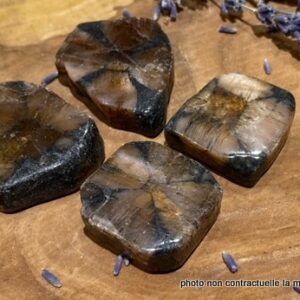 Chiastolite Pierre Roulée Semi Brute