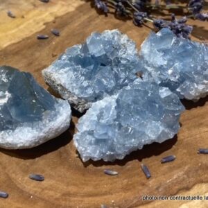 Célestine Brute PM-MM