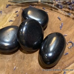 Shungite Pierre Roulée