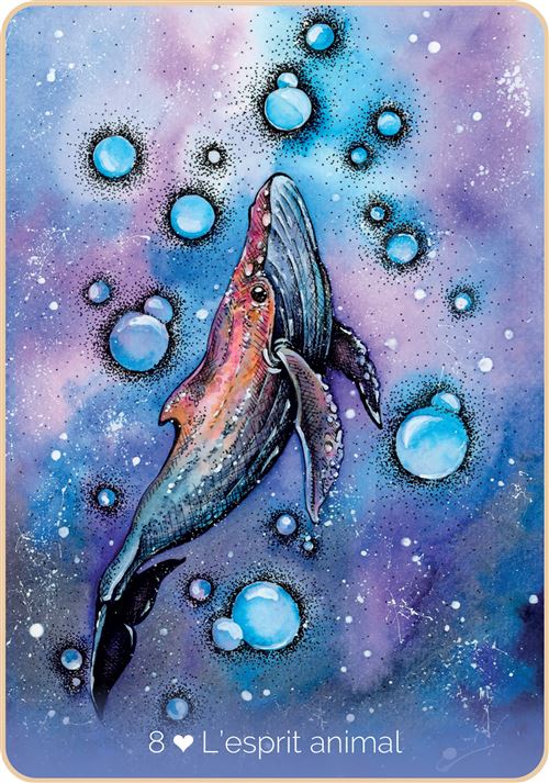 Oracle Les Pouvoirs extraordinaires de l'énergie, Charlotte Daynes & Célia Meles – Image 5