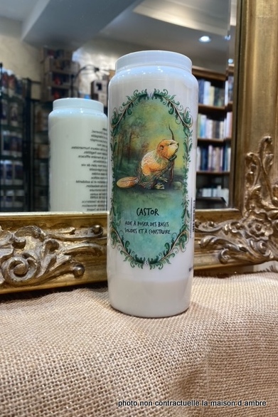 Neuvaine Totem Castor