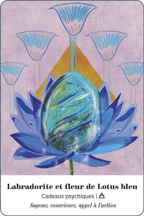 L'Oracle alchimique de la Terre, Katie-Jane Wright & Nikki Strange – Image 4