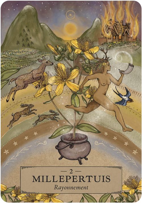 L'Oracle des astres et des plantes, Adriana Ayales & Joséphine Klerks – Image 2