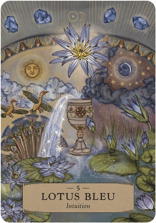 L'Oracle des astres et des plantes, Adriana Ayales & Joséphine Klerks – Image 3