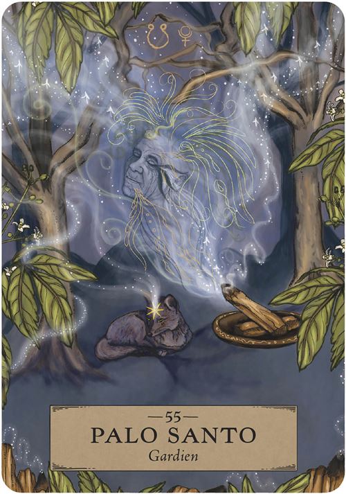 L'Oracle des astres et des plantes, Adriana Ayales & Joséphine Klerks – Image 4