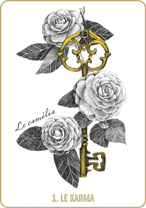 AKASHA - L'oracle des mémoires akashiques, Emily Nicolle – Image 4